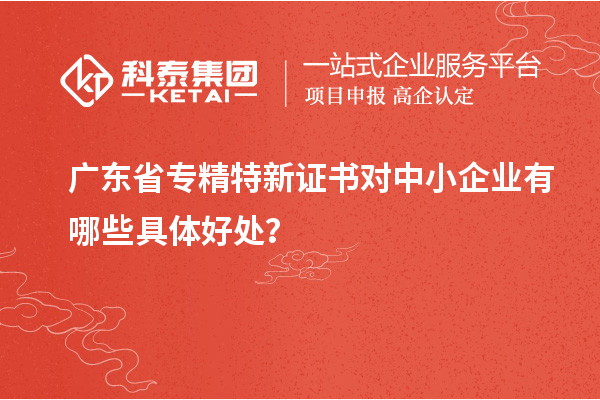 廣東省專精特新證書對中小企業有哪些具體好處？