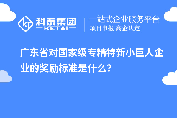 廣東省對國家級專精特新小巨人企業的獎勵標準是什么？