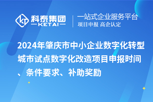 2024年肇慶市中小企業數字化轉型城市試點數字化改造項目申報時間、條件要求、補助獎勵