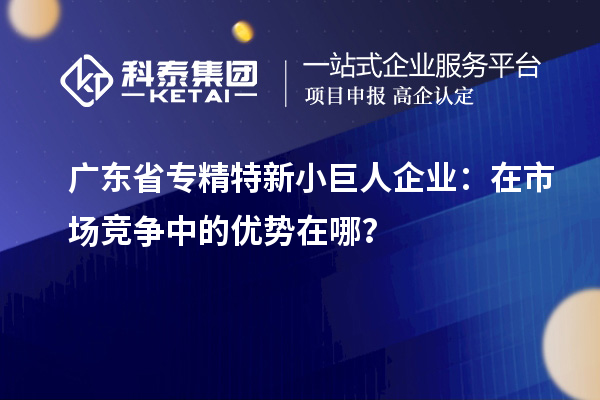 廣東省專精特新小巨人企業：在市場競爭中的優勢在哪？