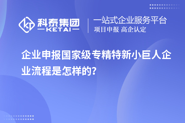 企業申報國家級專精特新小巨人企業流程是怎樣的？