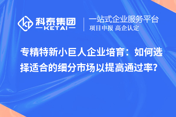 專精特新小巨人企業培育：如何選擇適合的細分市場以提高通過率？