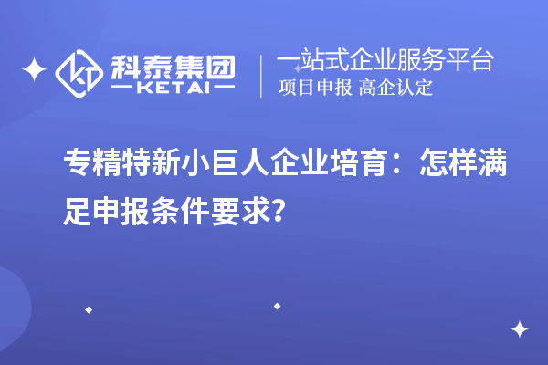 專精特新小巨人企業培育：怎樣滿足申報條件要求？
