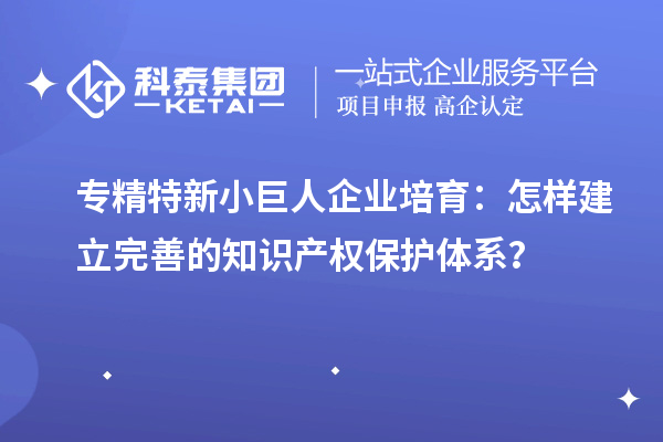 專精特新小巨人企業培育：怎樣建立完善的知識產權保護體系？