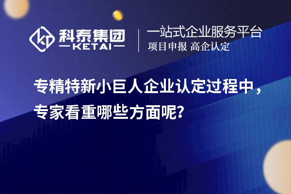 專精特新小巨人企業認定過程中，專家看重哪些方面呢？