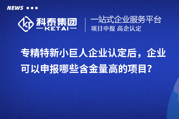 專精特新小巨人企業認定后，企業可以申報哪些含金量高的項目？