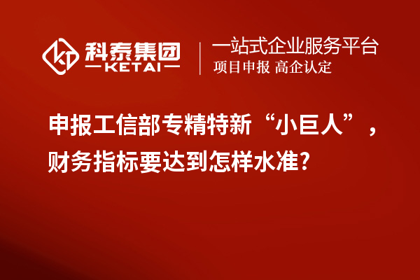 申報工信部專精特新 “小巨人”，財務指標要達到怎樣水準?