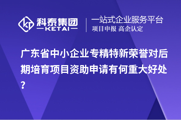 廣東省中小企業專精特新榮譽對后期培育項目資助申請有何重大好處？