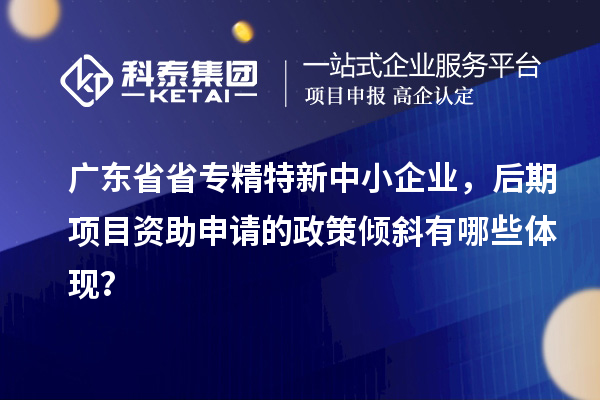 廣東省省專精特新中小企業，后期項目資助申請的政策傾斜有哪些體現？