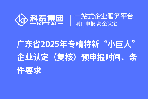 廣東省2025年專精特新“小巨人”企業認定（復核）預申報時間、條件要求