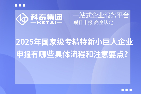 2025年國家級專精特新小巨人企業申報有哪些具體流程和注意要點？