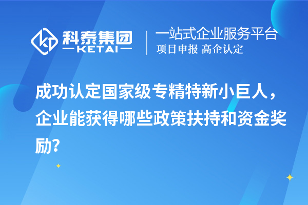 成功認定國家級專精特新小巨人，企業能獲得哪些政策扶持和資金獎勵？