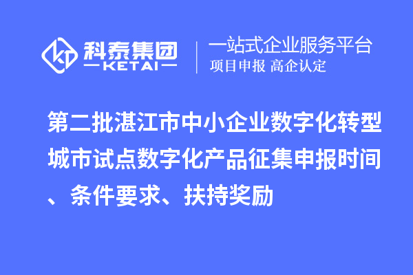 第二批湛江市中小企業數字化轉型城市試點數字化產品征集申報時間、條件要求、扶持獎勵