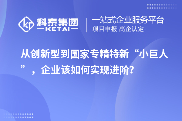 從創新型到國家專精特新“小巨人”，企業該如何實現進階？