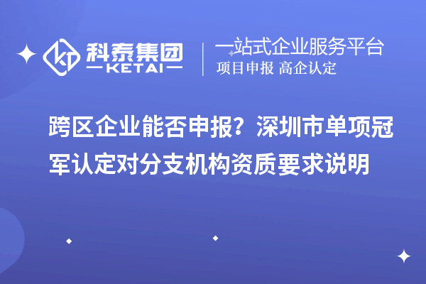 跨區企業能否申報？深圳市單項冠軍認定對分支機構資質要求說明