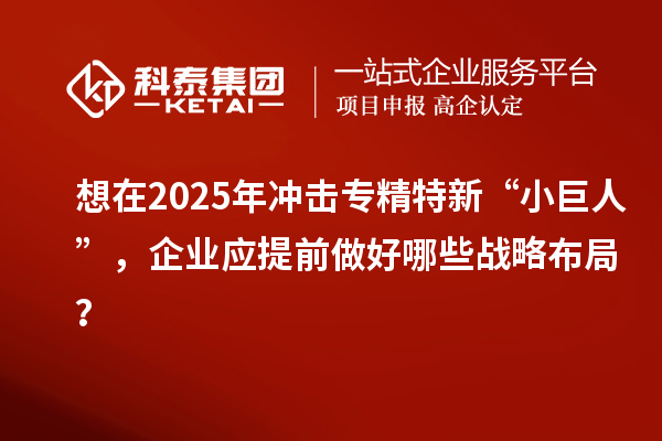 想在2025年沖擊專精特新 “小巨人”，企業應提前做好哪些戰略布局？