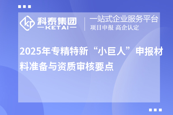2025年專精特新“小巨人”申報材料準備與資質審核要點