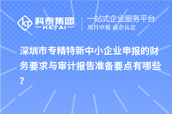 <a href=http://www.zh-tour.cn/shenzhen/ target=_blank class=infotextkey>深圳市專精特新</a>中小企業申報的財務要求與審計報告準備要點有哪些？