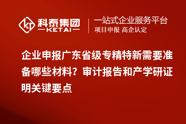 企業申報廣東省級專精特新需要準備哪些材料？審計報告和產學研證明關鍵要點
