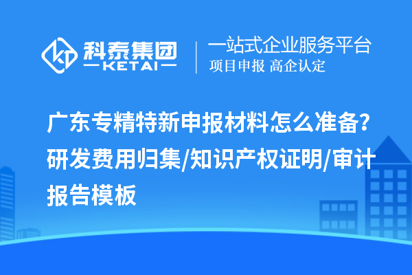 廣東專精特新申報材料怎么準備？研發費用歸集/知識產權證明/審計報告模板