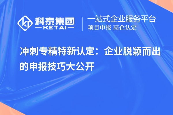 沖刺專精特新企業：企業脫穎而出的申報技巧大公開