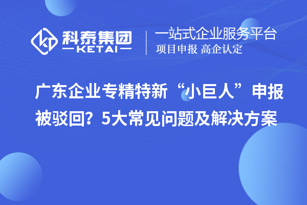 廣東企業專精特新“小巨人”申報被駁回？5大常見問題及解決方案