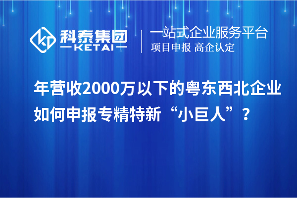年營收2000萬以下的粵東西北企業如何申報專精特新“小巨人”？