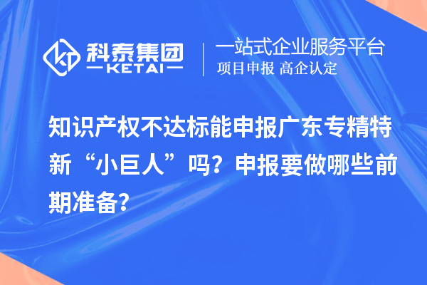 知識產權不達標能申報廣東專精特新“小巨人”嗎？申報要做哪些前期準備？