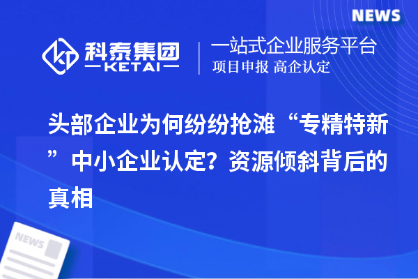 頭部企業為何紛紛搶灘“專精特新”中小企業認定？資源傾斜背后的真相