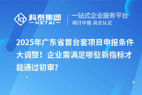 2025年廣東省首臺套項目申報條件大調整！企業需滿足哪些新指標才能通過初審？