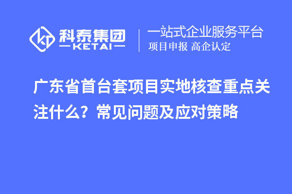 廣東省首臺套項目實地核查重點關注什么？常見問題及應對策略