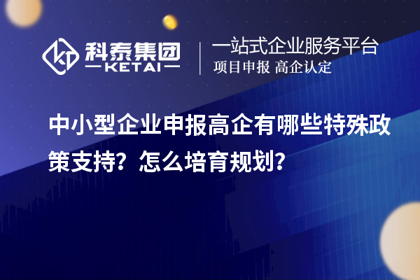 中小型企業申報高企有哪些特殊政策支持？怎么培育規劃？