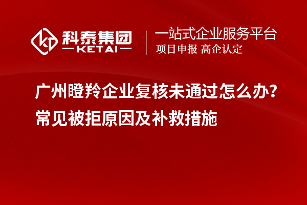 廣州瞪羚企業復核未通過怎么辦？常見被拒原因及補救措施