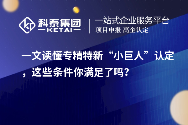 一文讀懂專精特新“小巨人”認定，這些條件你滿足了嗎？