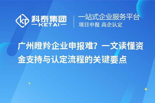 廣州瞪羚企業申報難？一文讀懂資金支持與認定流程的關鍵要點