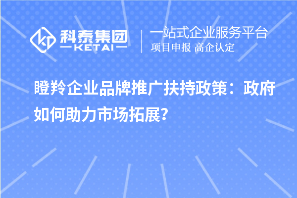 瞪羚企業品牌推廣扶持政策：政府如何助力市場拓展？