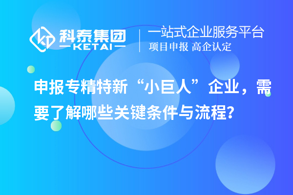 申報專精特新“小巨人”企業，需要了解哪些關鍵條件與流程？