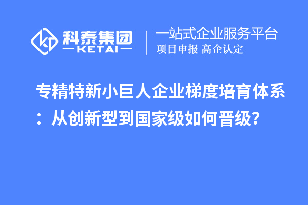 專精特新小巨人企業梯度培育體系：從創新型到國家級如何晉級？