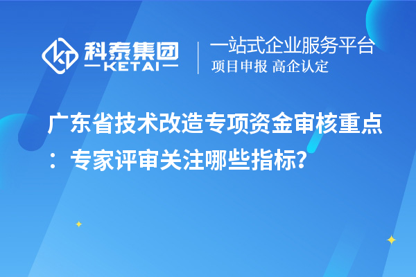 廣東省技術改造專項資金審核重點：專家評審關注哪些指標？