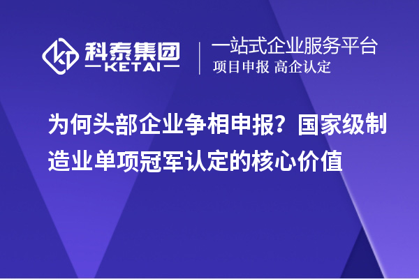 為何頭部企業爭相申報？國家級制造業單項冠軍認定的核心價值