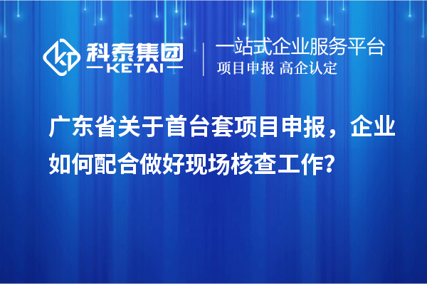 廣東省關于首臺套項目申報，企業如何配合做好現場核查工作？