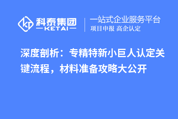 深度剖析：專精特新小巨人認定關鍵流程，材料準備攻略大公開