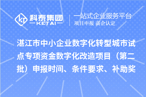 湛江市中小企業數字化轉型城市試點專項資金數字化改造項目（第二批）申報時間、條件要求、補助獎勵