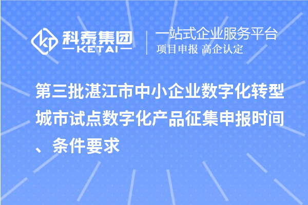 第三批湛江市中小企業數字化轉型城市試點數字化產品征集申報時間、條件要求