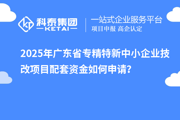 2025年廣東省專精特新中小企業技改項目配套資金如何申請？
