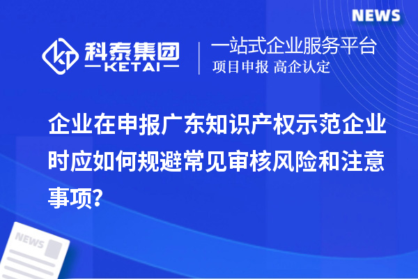 企業在申報廣東知識產權示范企業時應如何規避常見審核風險和注意事項？