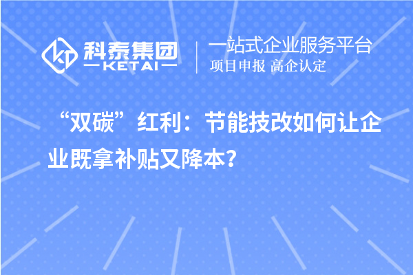 “雙碳”紅利：節能技改如何讓企業既拿補貼又降本？