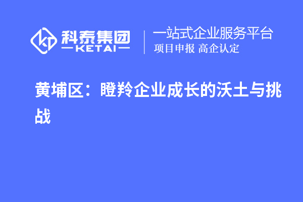 黃埔區：瞪羚企業成長的沃土與挑戰