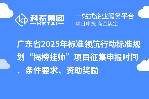 廣東省2025年標準領航行動標準規劃“揭榜掛帥”項目征集申報時間、條件要求、資助獎勵