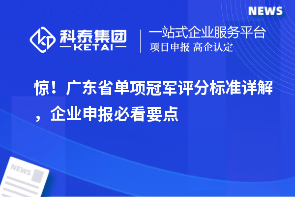 驚！廣東省單項冠軍評分標準詳解，企業申報必看要點